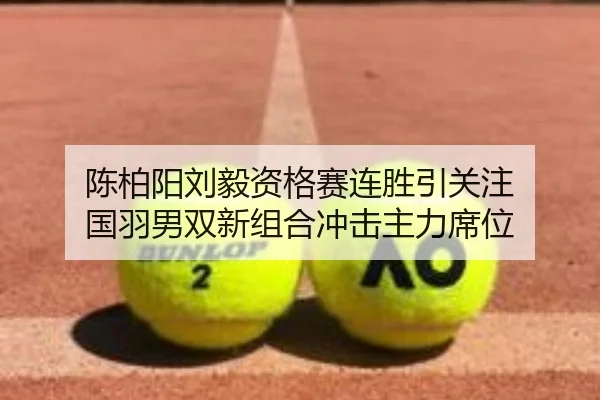 陈柏阳刘毅资格赛连胜引关注 国羽男双新组合冲击主力席位